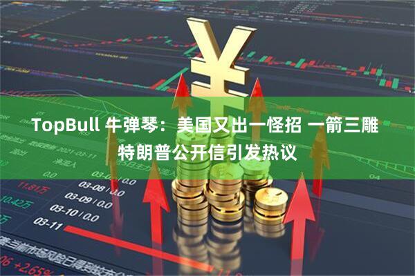 TopBull 牛弹琴：美国又出一怪招 一箭三雕 特朗普公开信引发热议