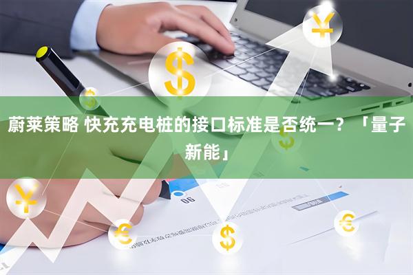 蔚莱策略 快充充电桩的接口标准是否统一？「量子新能」