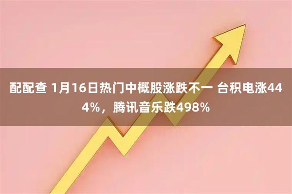 配配查 1月16日热门中概股涨跌不一 台积电涨444%，腾讯音乐跌498%