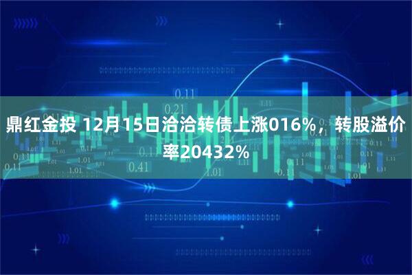 鼎红金投 12月15日洽洽转债上涨016%，转股溢价率20432%