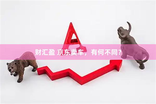 财汇盈 京东卖车，有何不同？